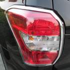 2013��ɭ����β����