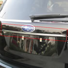 2013��ɭ���˺�����