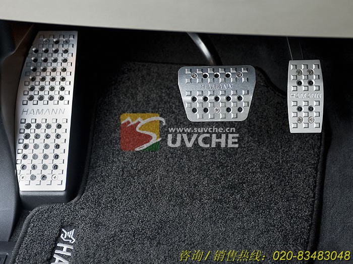 2010ʤ˶HAMANN̤