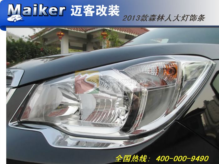 2013��ɭ���˴������