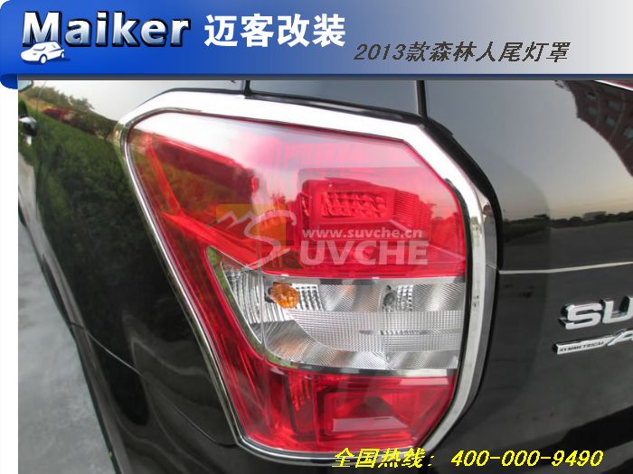 2013��ɭ����β����