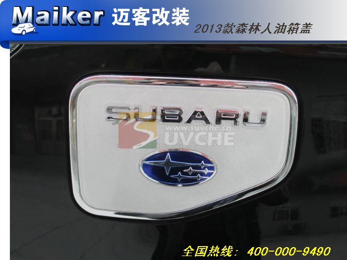 2013��ɭ���������