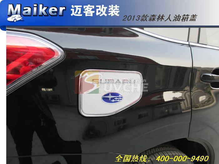 2013��ɭ���������