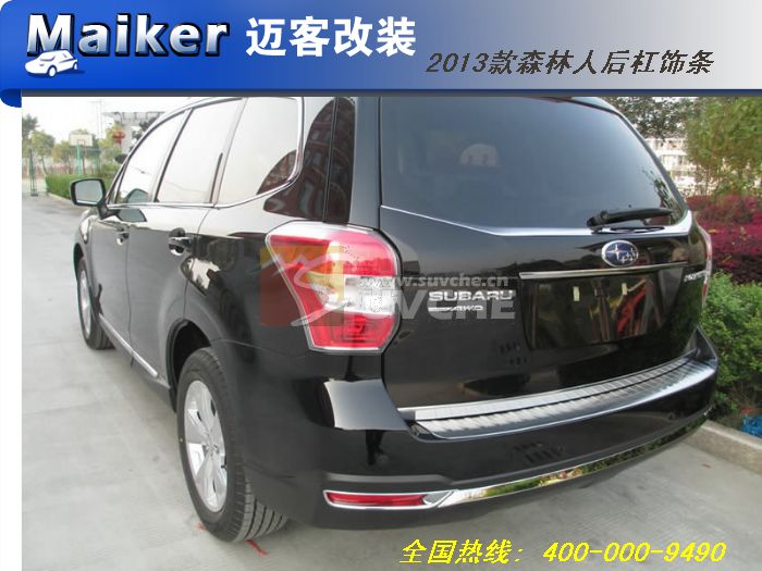 2013��ɭ���˺������